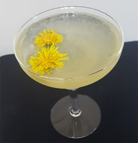 dandelion margarita