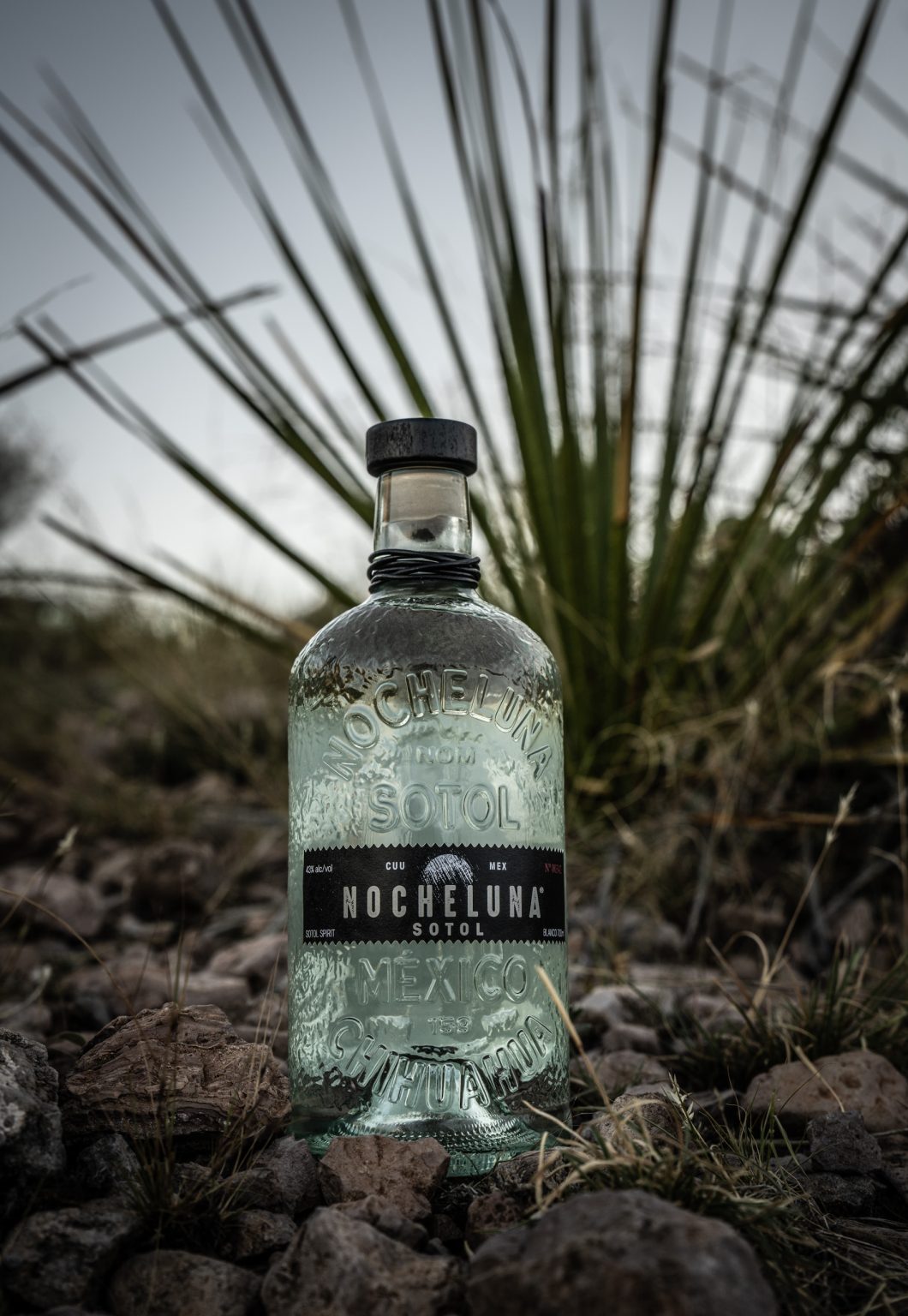 Review: Nocheluna Sotol - Drinkhacker